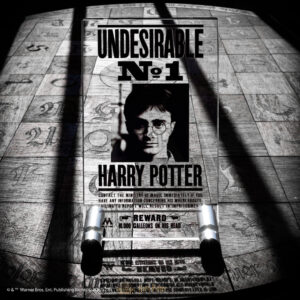 Plaque Récompense Harry Potter